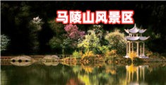 操比网站