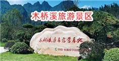 大黑鸡吧操逼逼