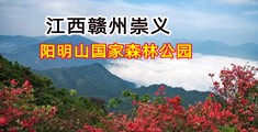 欧美大鸡吧骚穴啊啊啊